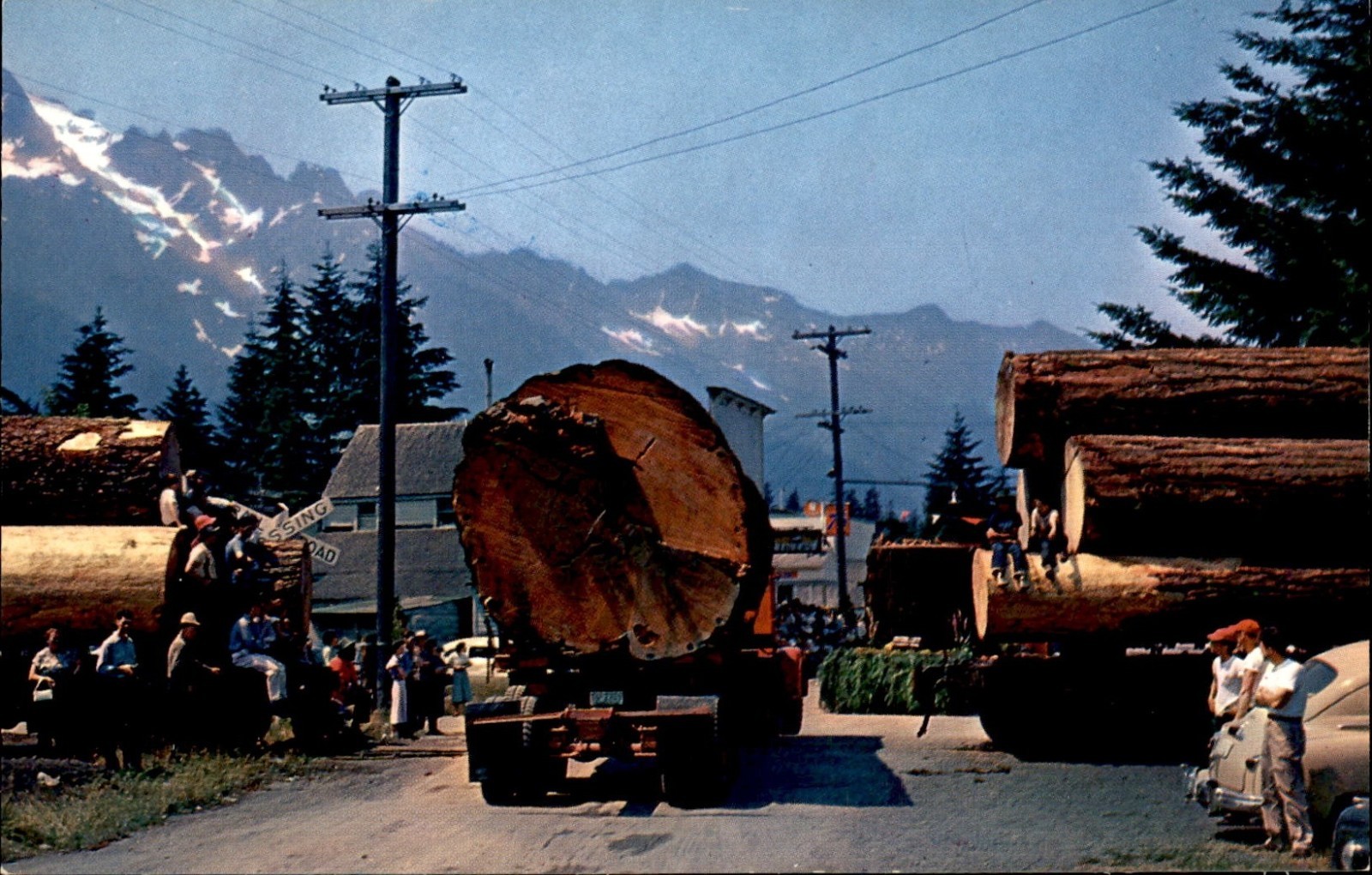 Logging in Oregon Vintage Standard Postcard Unposted