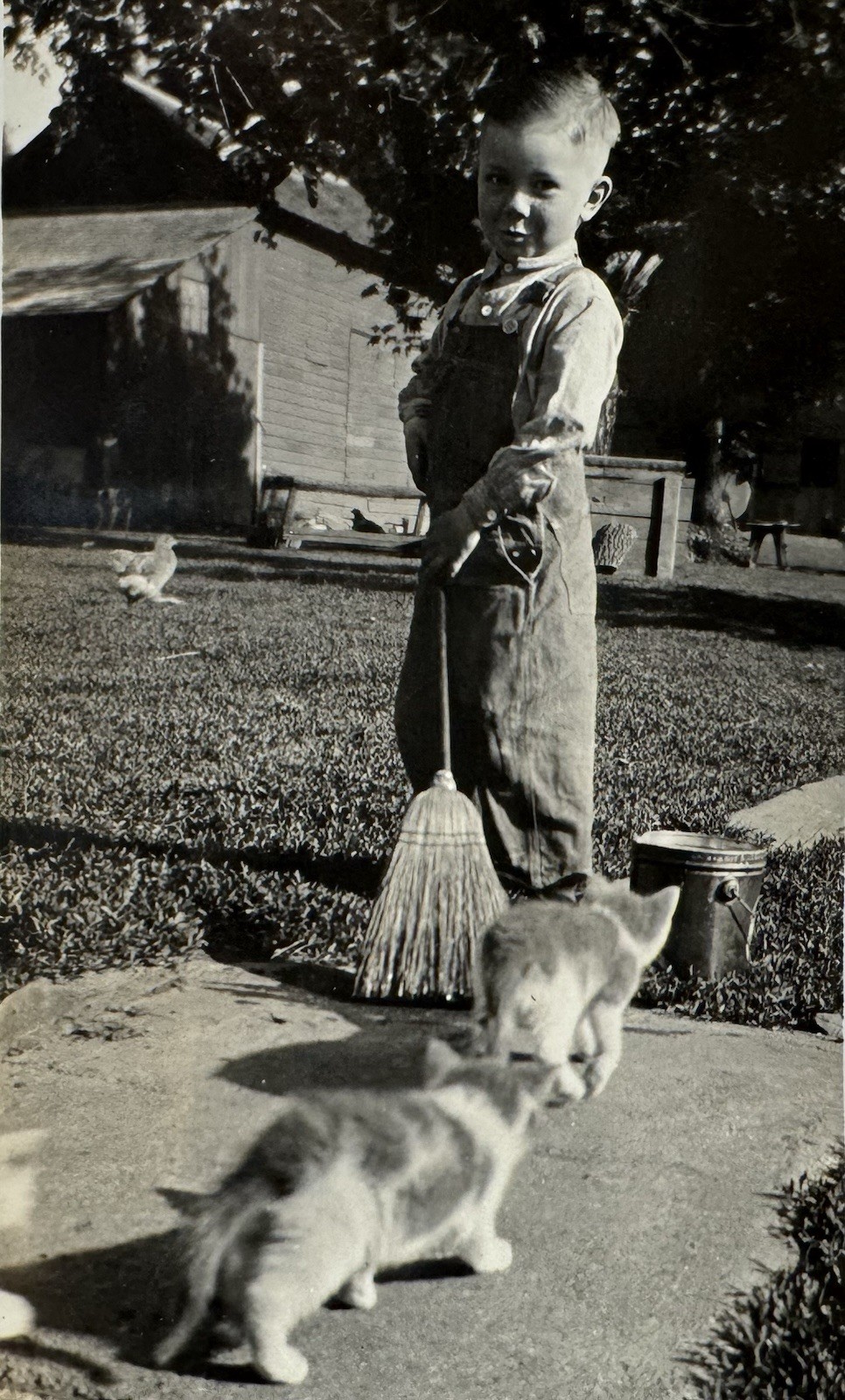 Vtg 1933 Americana Photo Farm Boy With Broom Kittens Chicken Barn Farm Life