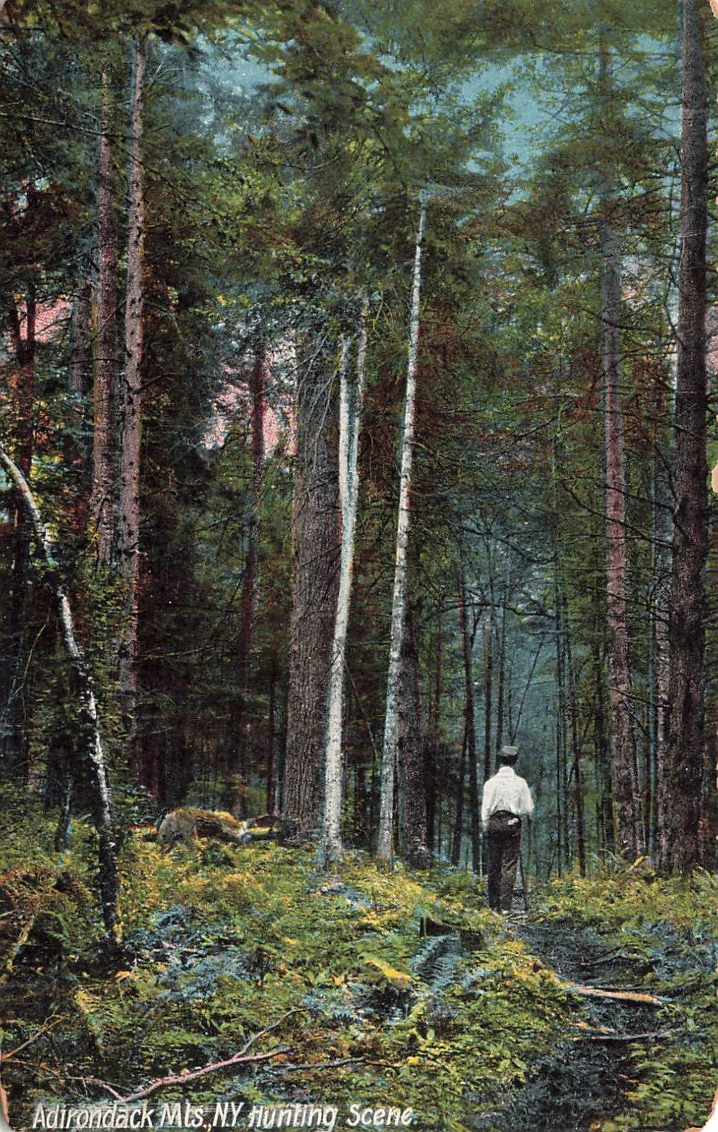 *Postcard ~ Adirondack Mts. New York, Hunting Scene in Forest