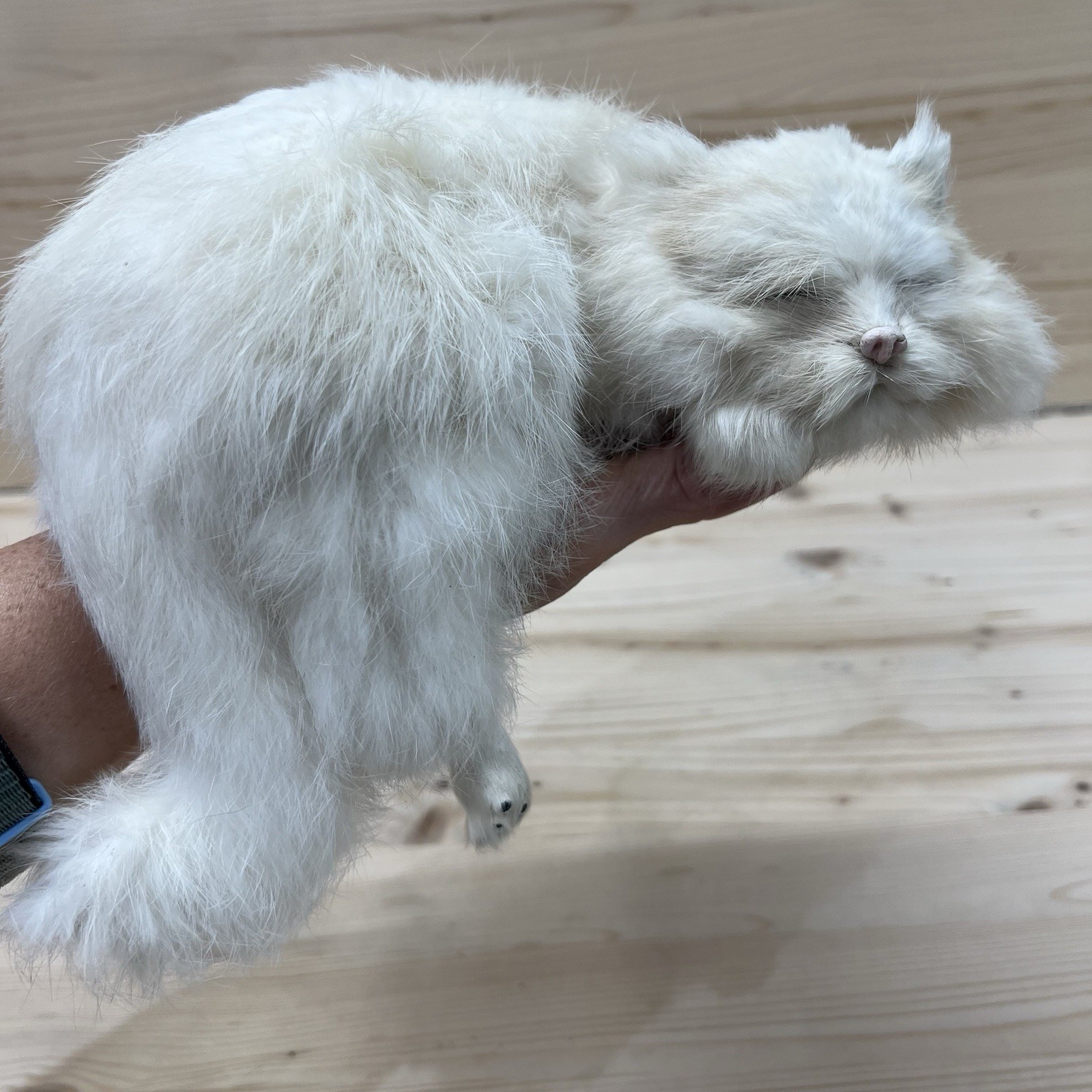 Realistic Cat Shelf Sitter Sleeping Real Rabbit Fur 9