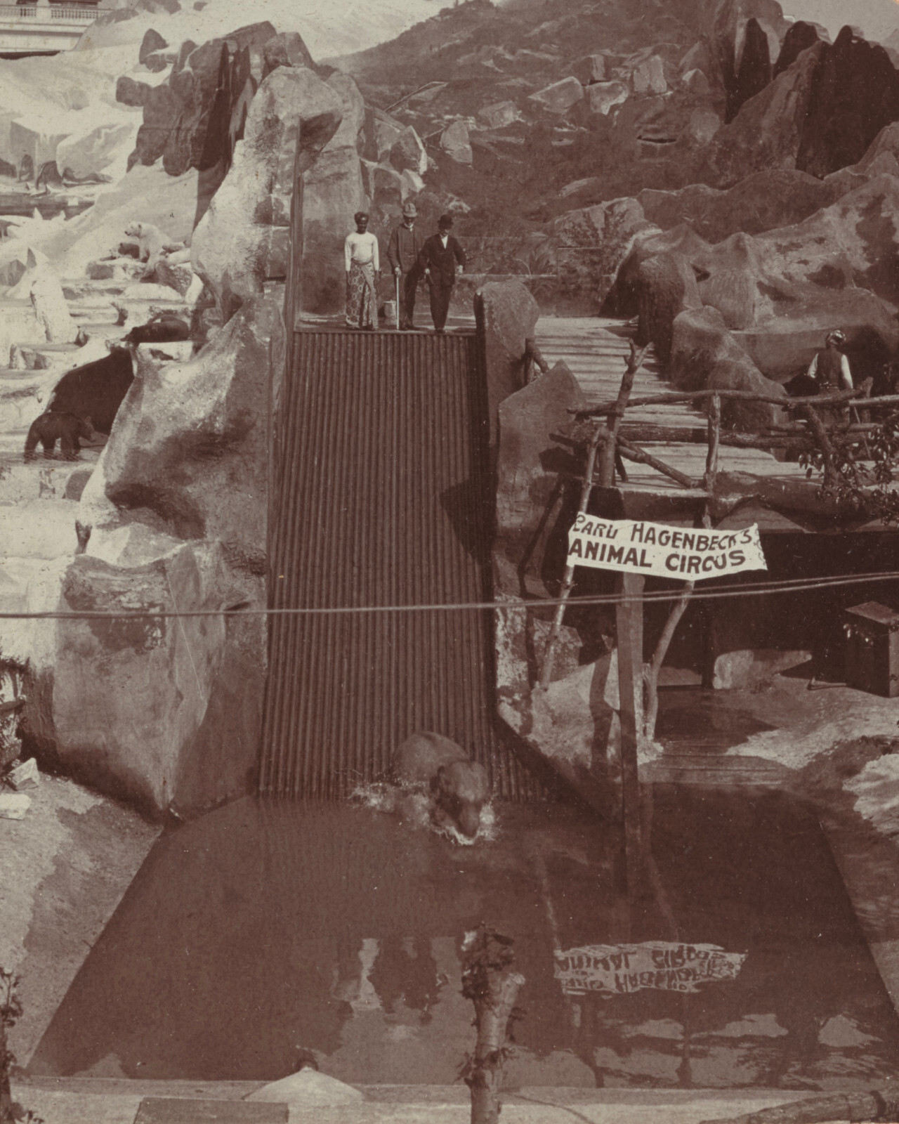 1904 St. Louis World\'s Fair Photo Elephant Shooting the Chutes Hagenbeck Circus 1904 St. Louis World\'s Fair Photo Elephant Shooting the Chutes Hagenbeck Circus