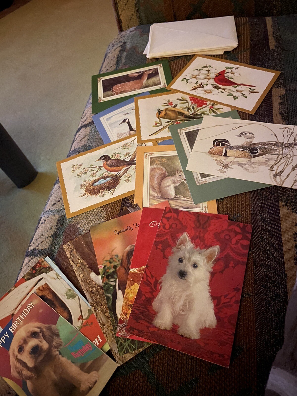 Vintage Stationary Notecards Unique Animals Retro 20