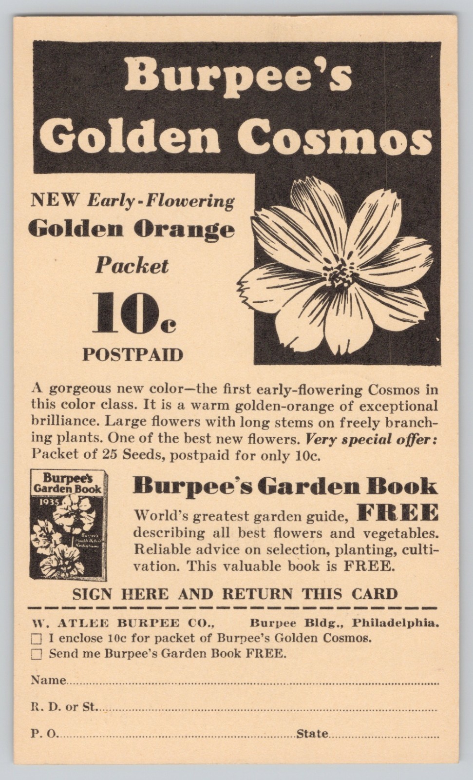 1935 Burpee Golden Cosmos Seed Advertising Postal Card Zinnias Philadelphia 1935 Burpee Golden Cosmos Seed Advertising Postal Card Zinnias Philadelphia