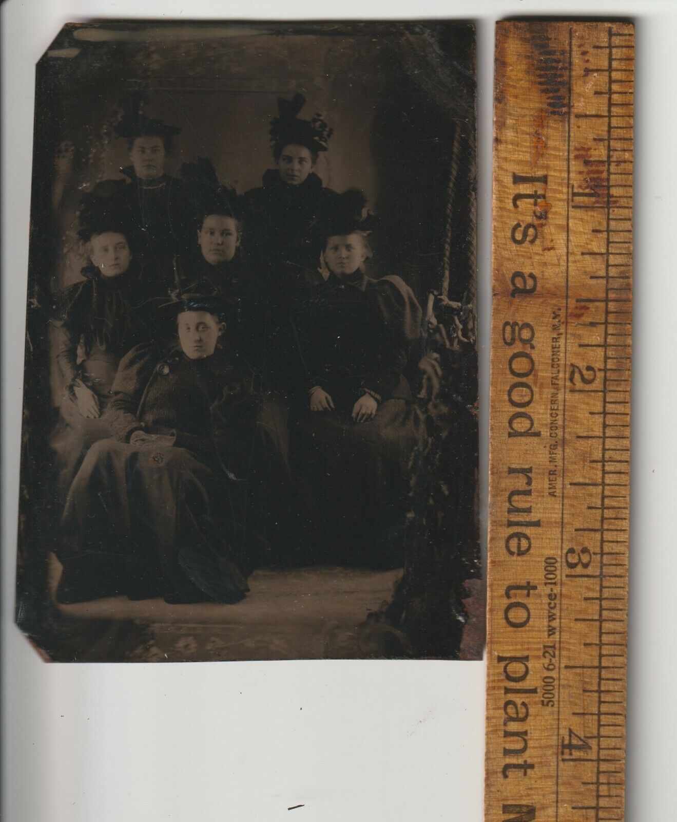 Tintype Victorian Group Six Ladies feather hats photography studio 1880s photo