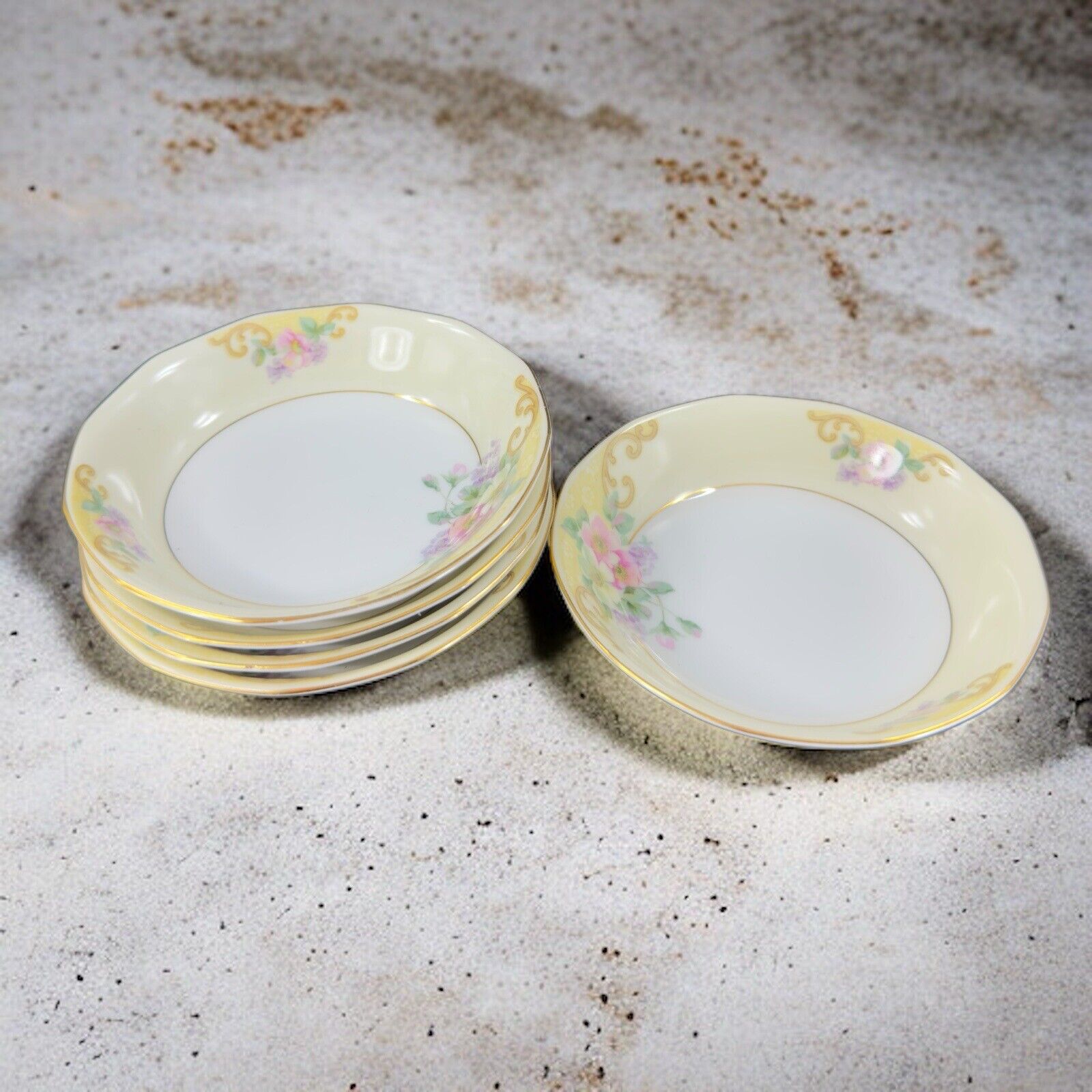 TK Thun Czechoslovakia Hand Painted Porcelain Round Deep Plate Dish Bowl Set 5