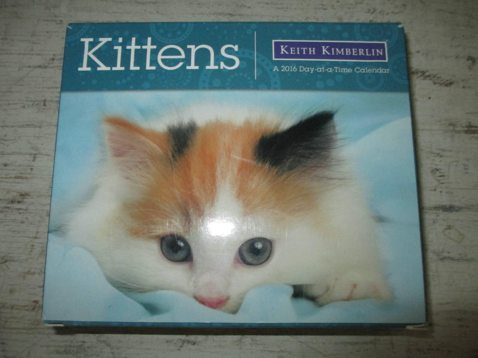 Kittens Kieth Kimberlin 2016 Day At A Time Calendar, NIB, 6