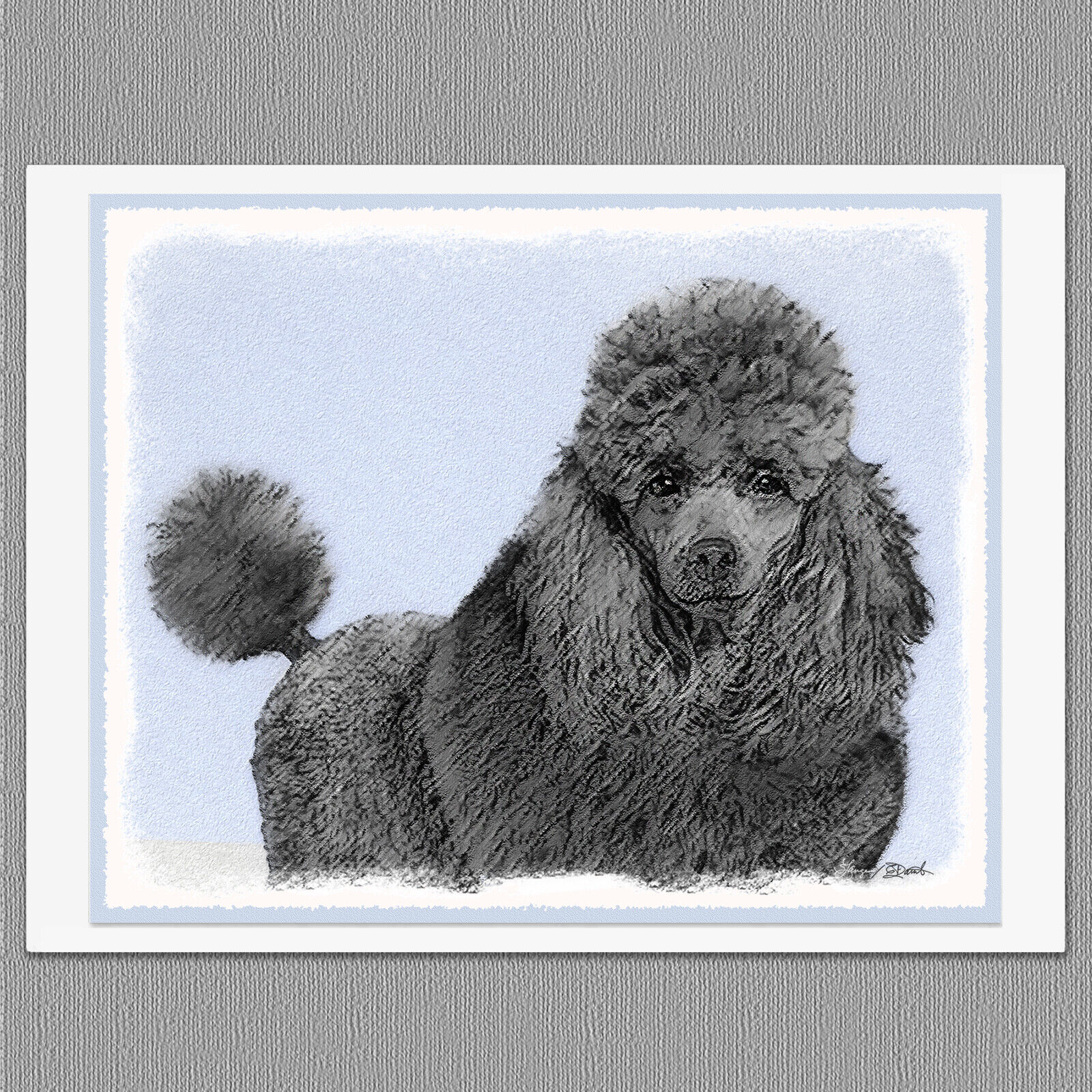 6 Poodle Miniature Toy Black Dog Blank Art Note Greeting Cards