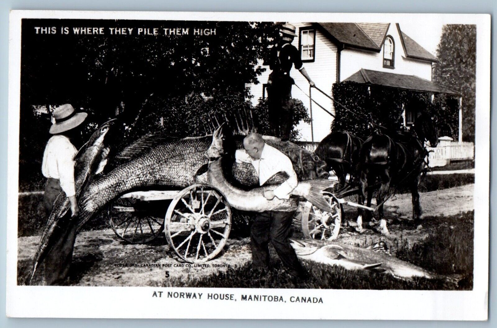 c1910s Exaggerated Fish Norway House  Manitoba Canada RPPC Photo Postcard