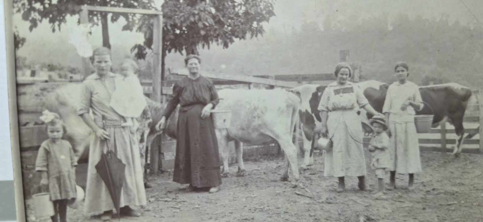 1907-1915 Real Photo RPPC Postcard Family Farm Scene w/ Cows, Divided Back