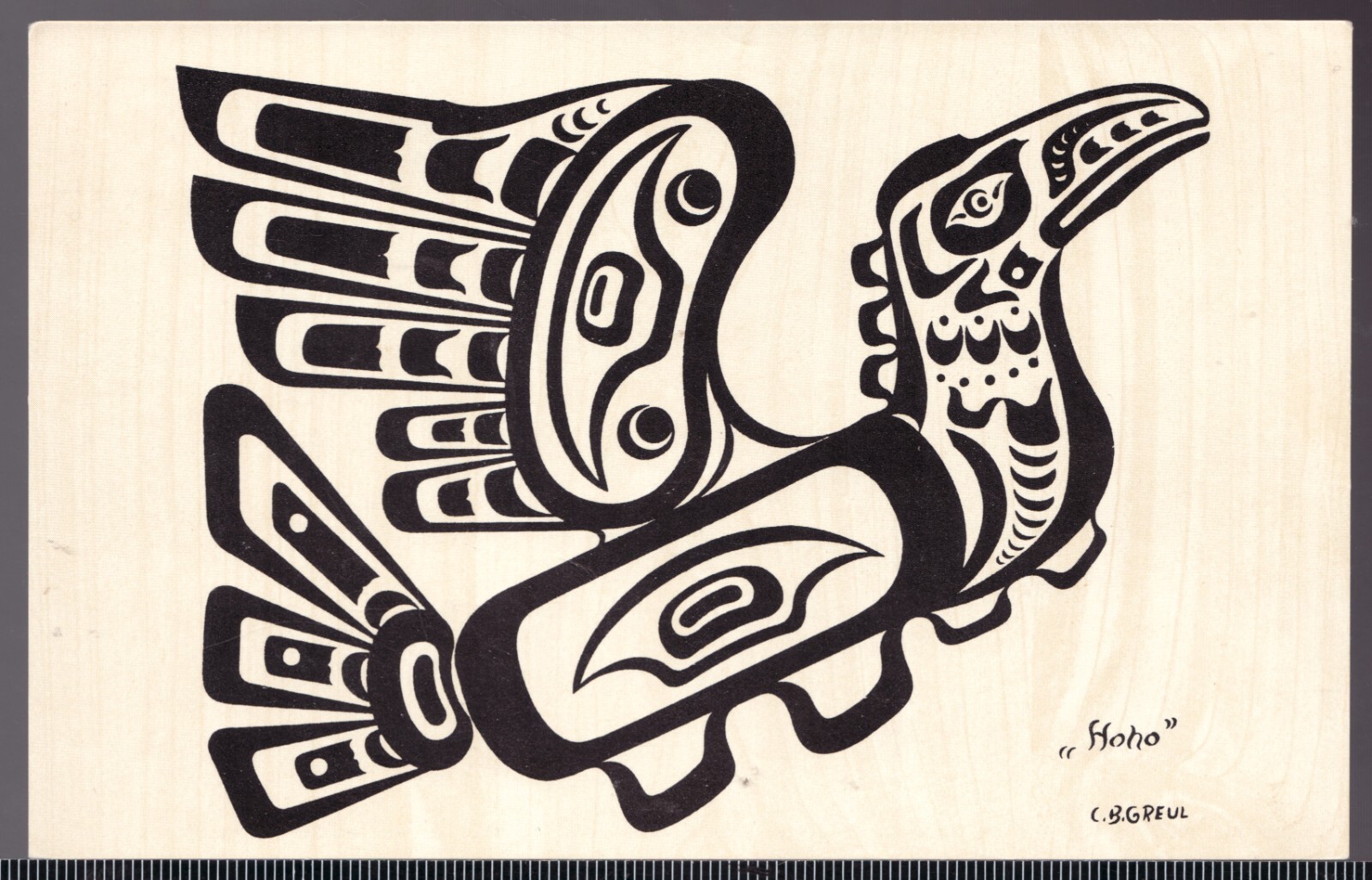 Postcard : c.1960\'s Pacific Northwest \