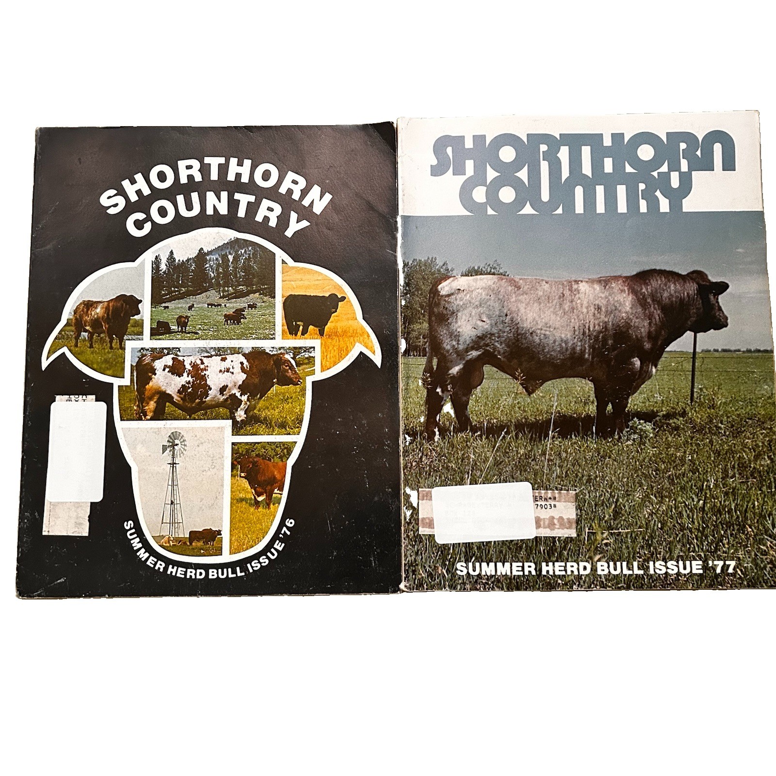1976 And 1977 Vintage Shorthorn Country Summer Herd Bull Issues