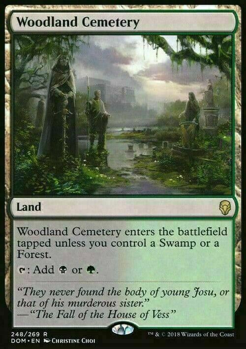 Woodland Cemetery ~ Dominaria [ EX ] [ Magic MTG ]
