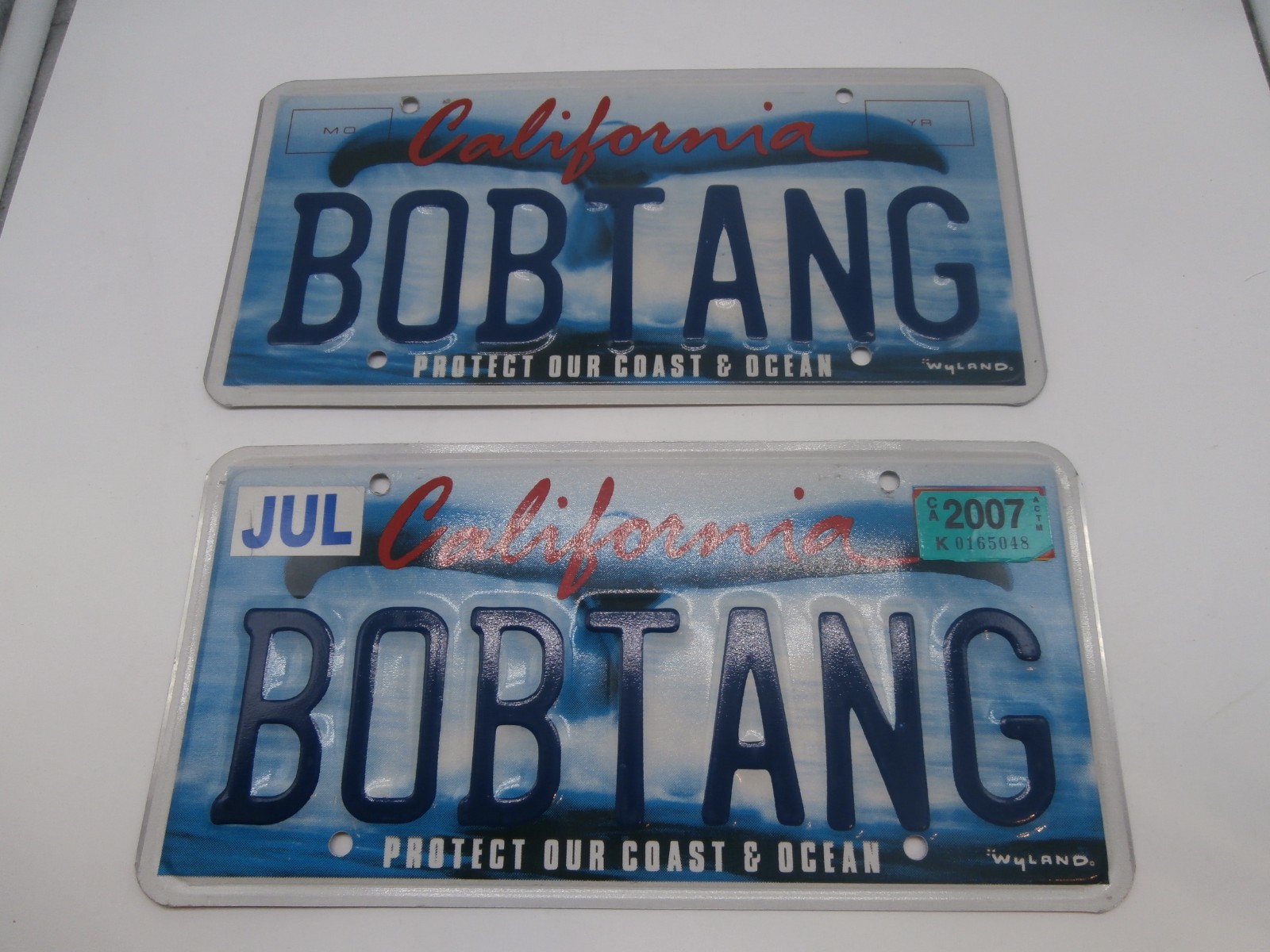 VTG CALIFORNIA Protect Our Coast, Whale,WYLAND 2 License Plate 
