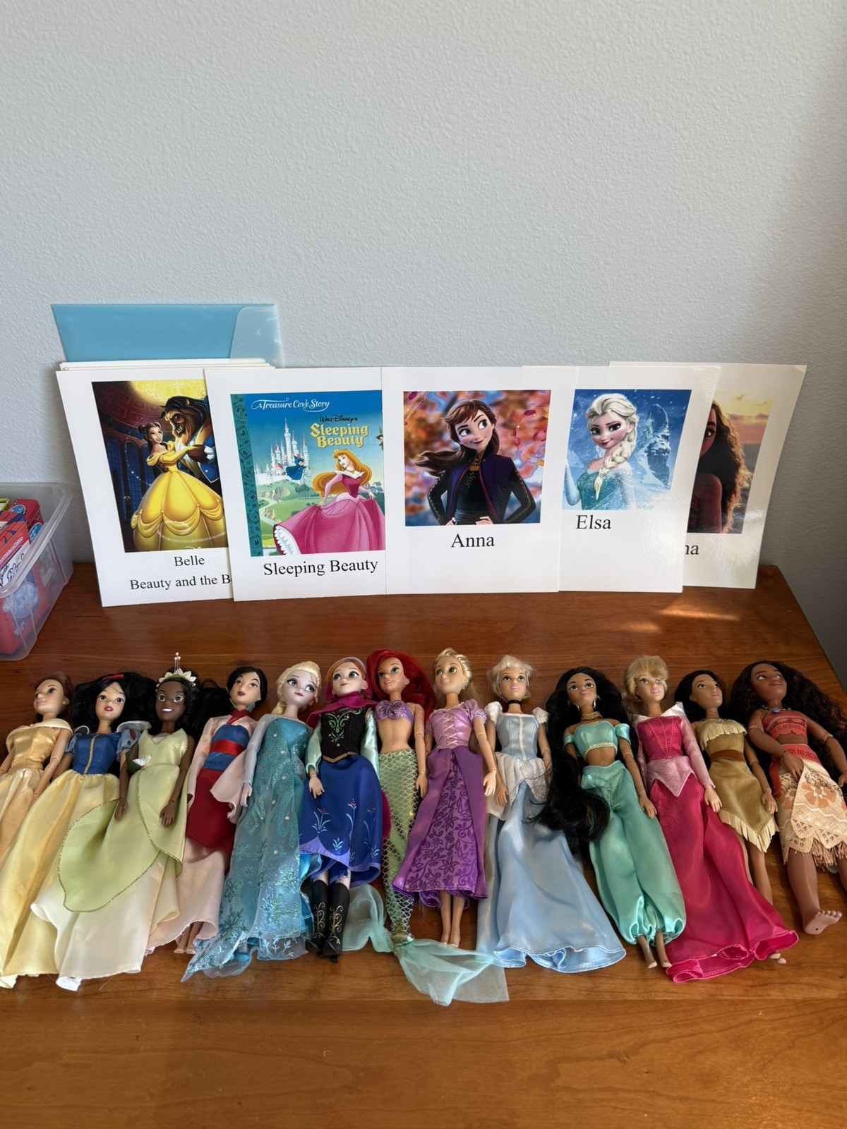 Large collection of 13 Disney princesses, some vintage, with laminated pictures