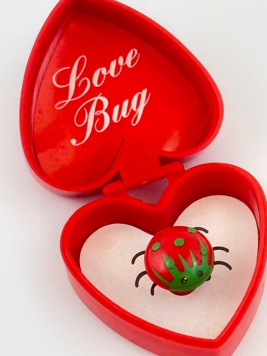 Vintage Valentine Surprise Box With Love Bugs Made for Tony Department Store