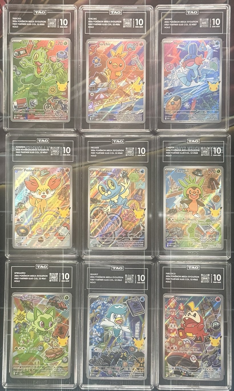 First Partner Series 3 9x Card Set Treecko Torchic Mudkip All Tag 10 PSA 10 Gem