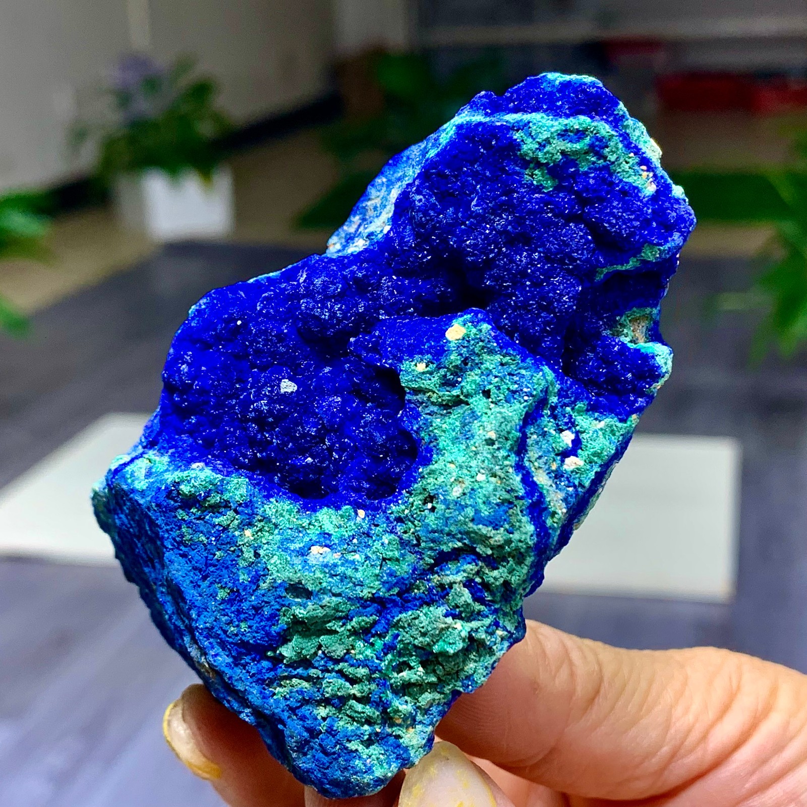 216G BEST Natural Azurite/Malachite crystal minerals specimens