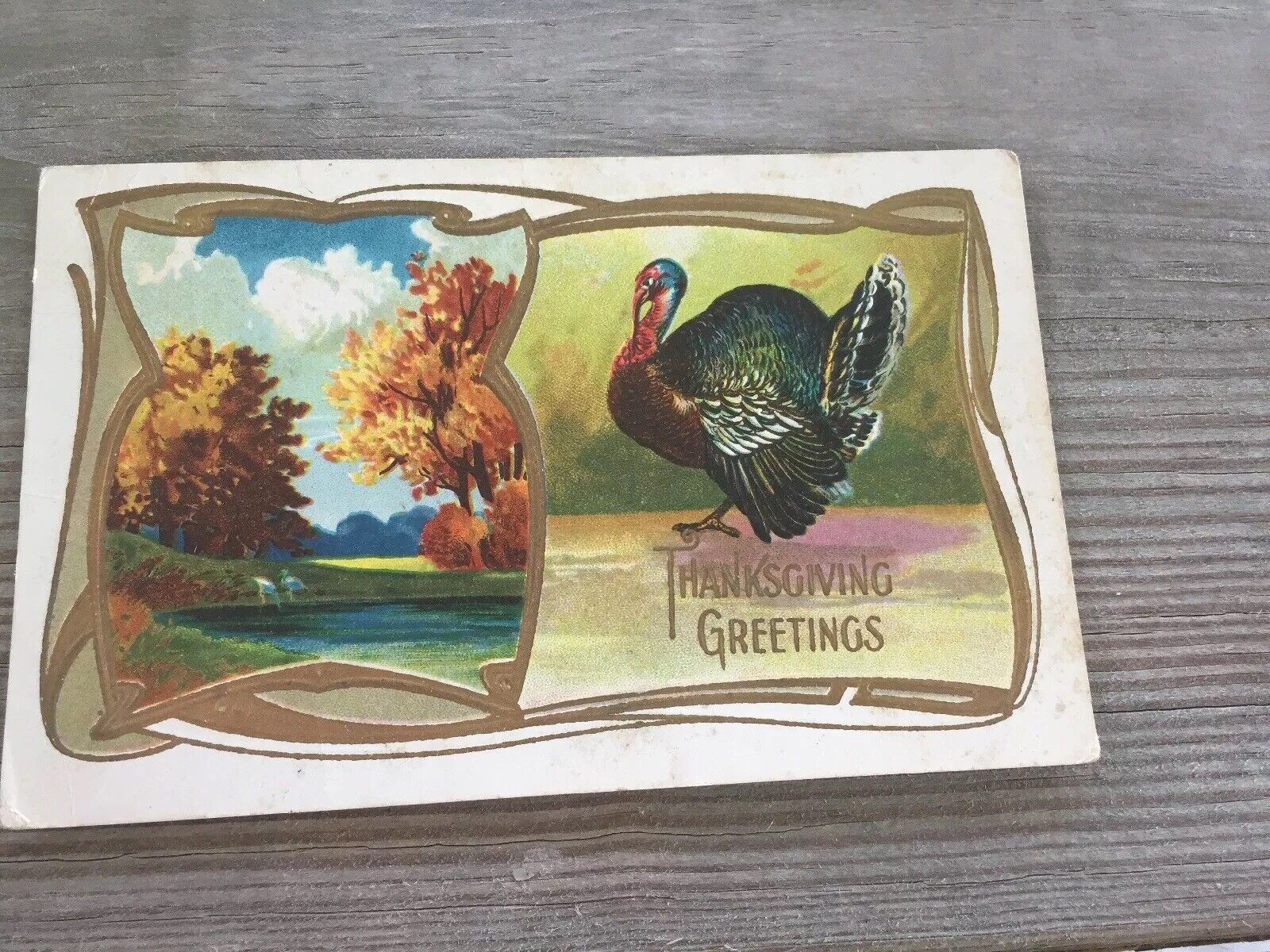 Antique Vintage Postcard:Embossed Thanksgiving Greetings Turkey