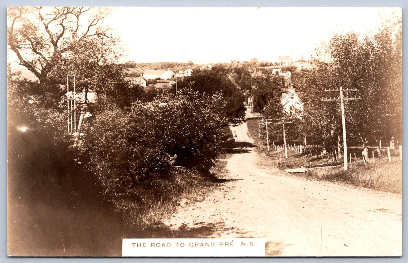 K37/ Grand Pre Nova Scotia Canada RPPC Postcard c1930 Road to Town 45