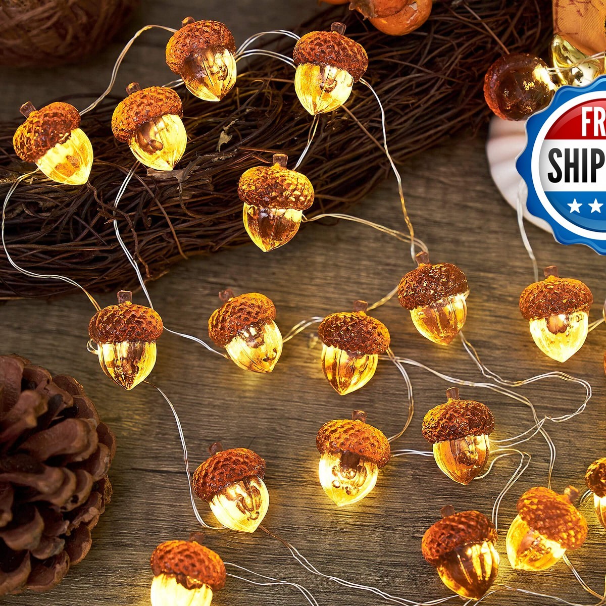 3D Twinkle Acorn Fall Harvest String Lights 10ft 30 LED USB Remote Thanksgiving