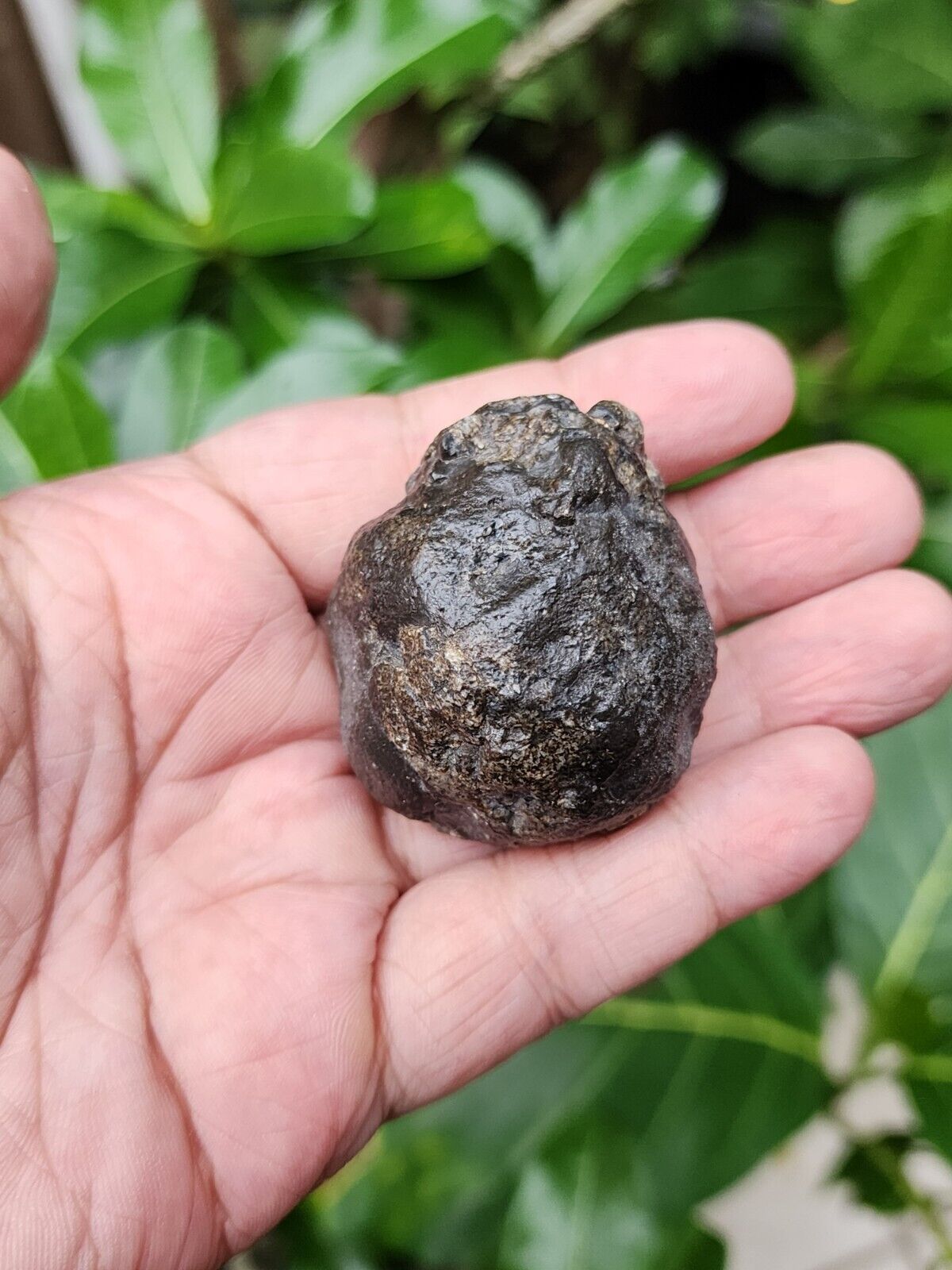 eucrite meteorite- Eucrite Melt Breccia - Found libya desert -Anchondrite 415CT