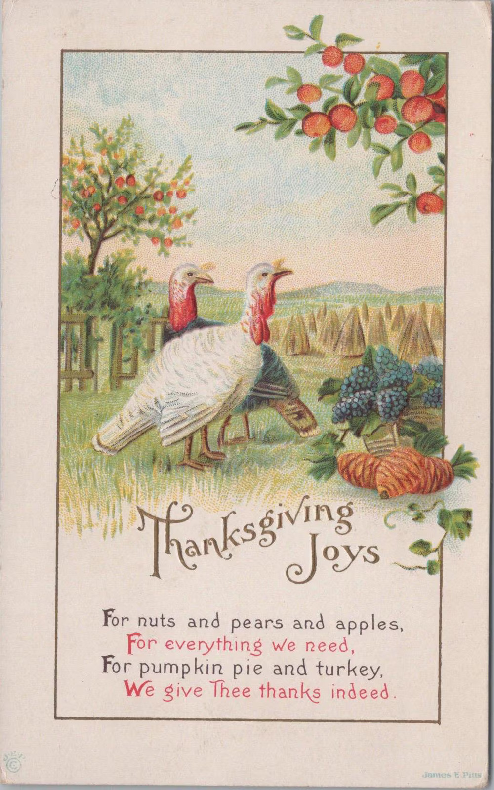 Antique Embossed Thanksgiving Postcard- Divided Back Era- 2 Turkeys in Field Antique Embossed Thanksgiving Postcard- Divided Back Era- 2 Turkeys in Field