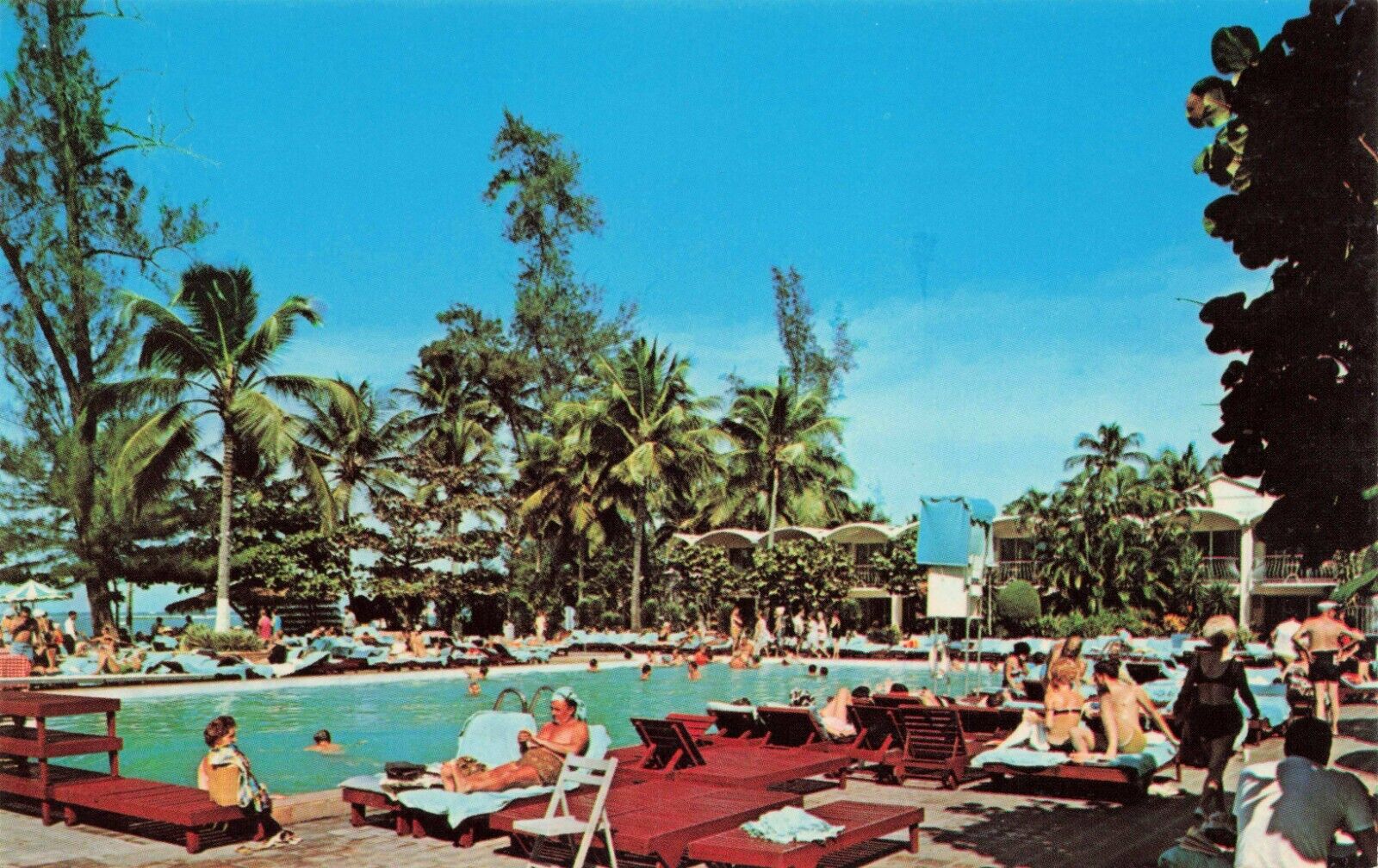 Postcard Swimming Pool Area Americana Hotel, San Juan, Puerto Rico PR Vintage