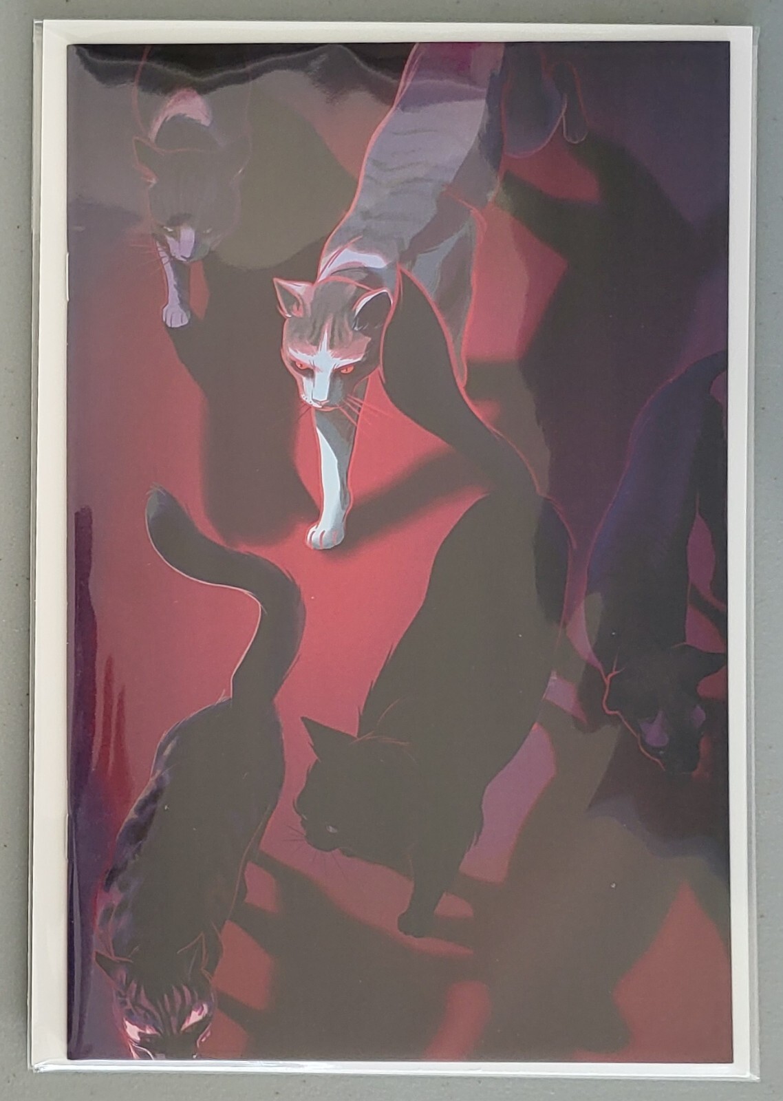 Feral #1 E, 1:25 Katie Cook Incentive Virgin Variant, NM/Better