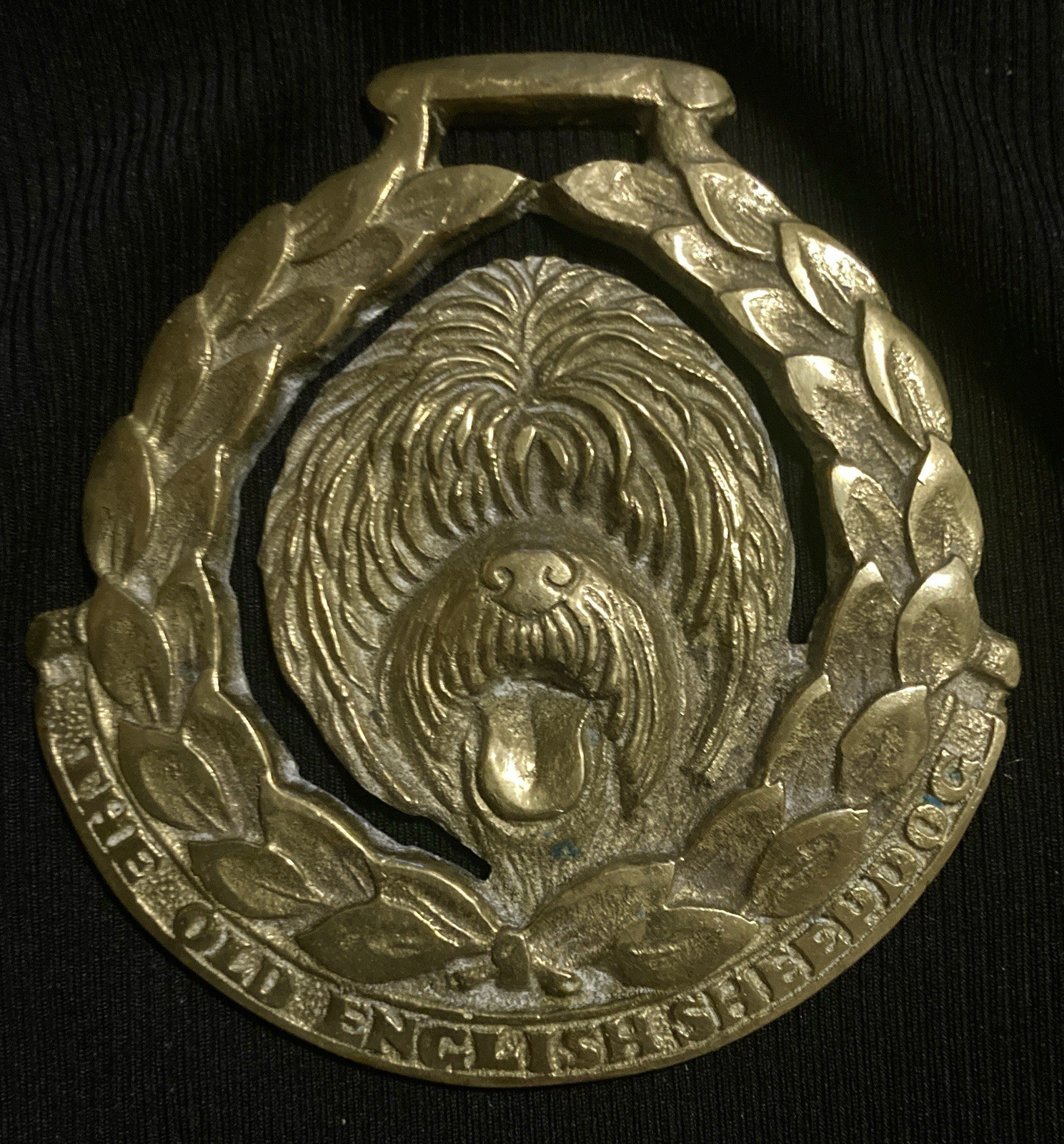 Oversized THE OLD ENGLISH SHEEPDOG Horse Brass •JEE• DOG LOVER  WOW YOUR WALLS
