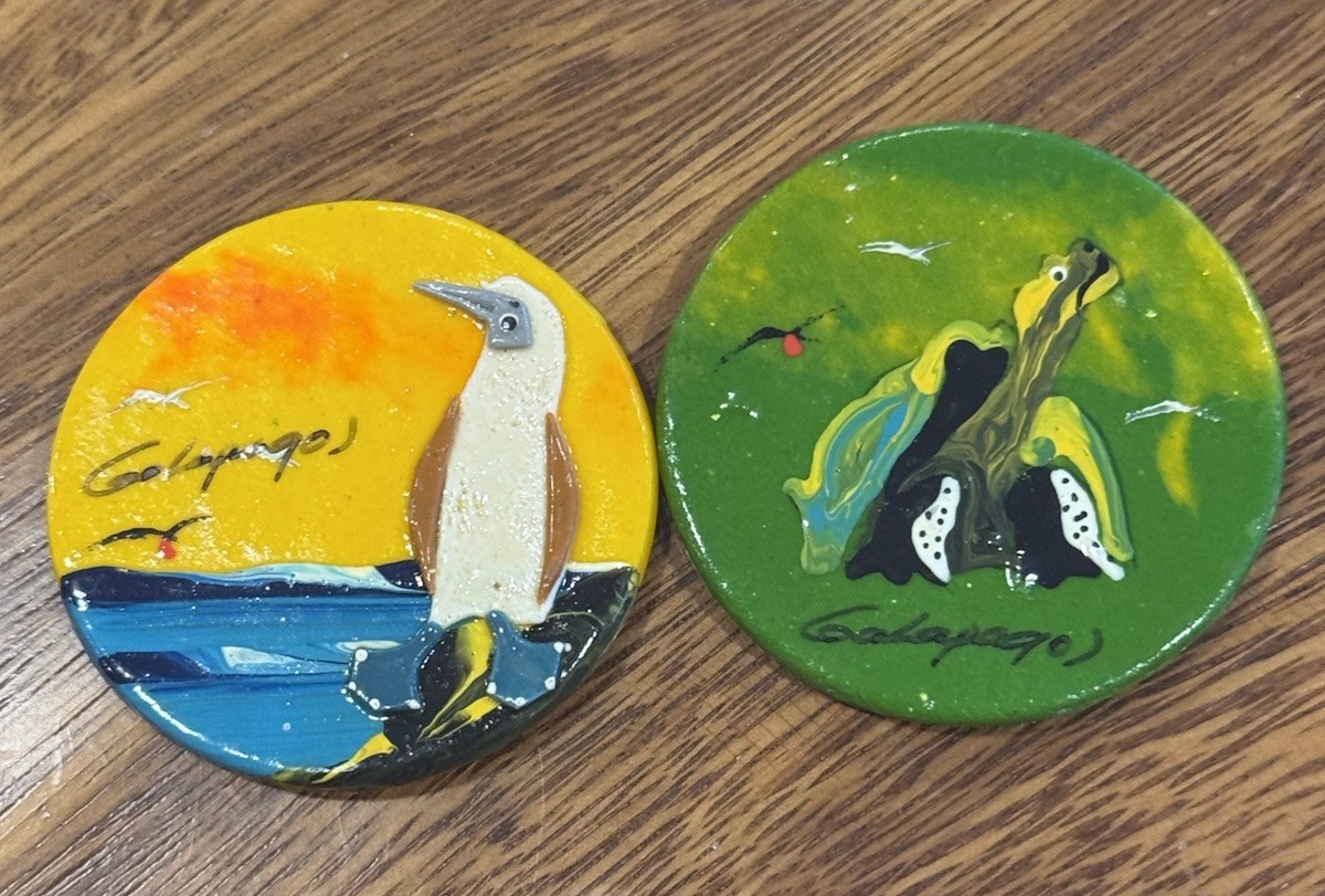 2 Hand Painted Galápagos Islands Magnets Bird And Tortoise Souvenir  HTF
