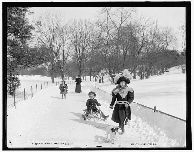 Photo:Central Park New York NY 1900s Children Playing in Snow Sleds