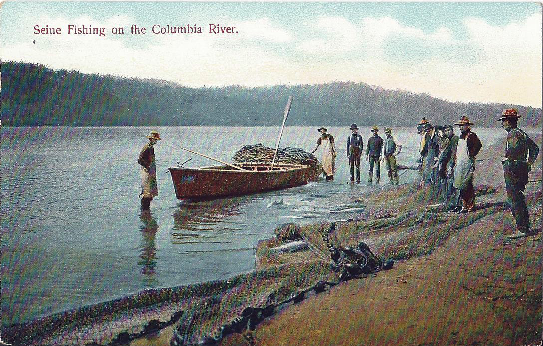 Postcard OR Oregon Washington State Seine Fishing on Columbia River ca 1907-14 