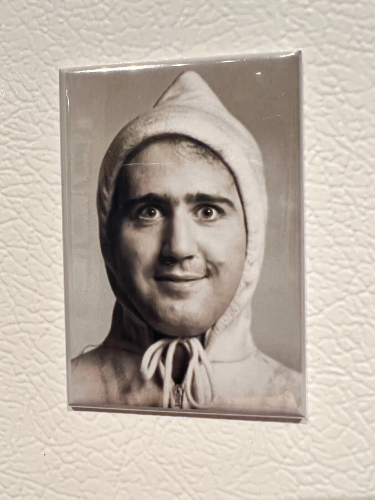 ANDY KAUFMAN Legendary Comedian, Performance Art MAGNET 2x3\