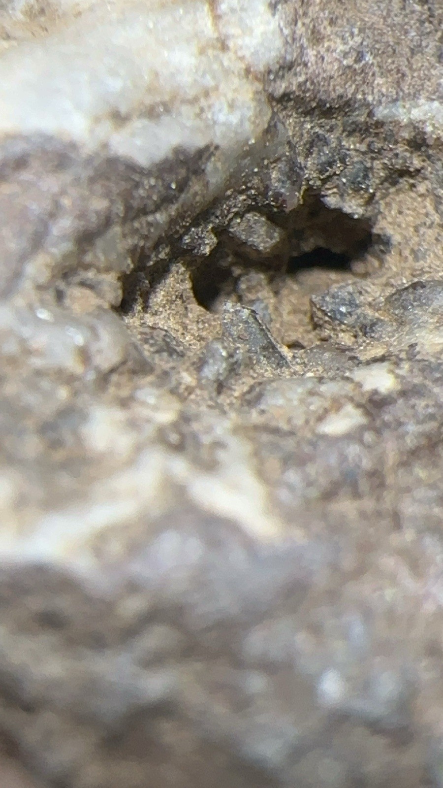 Natural Kimberlite with Visible Crystals and Small Black Looking Diamonds