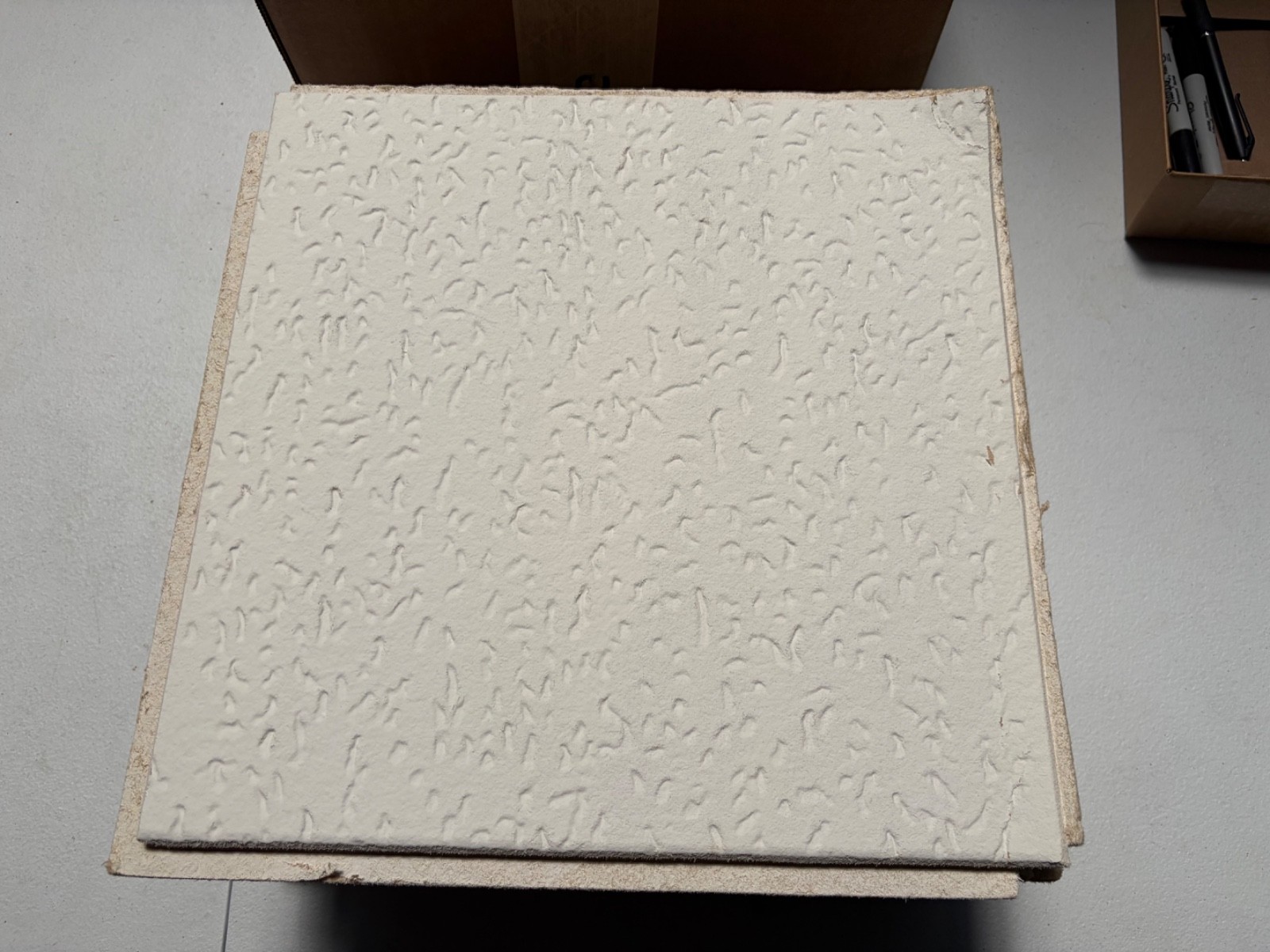 USG Interiors 12 x 12 in. Tivoli Ceiling Tile - Pack of 13 