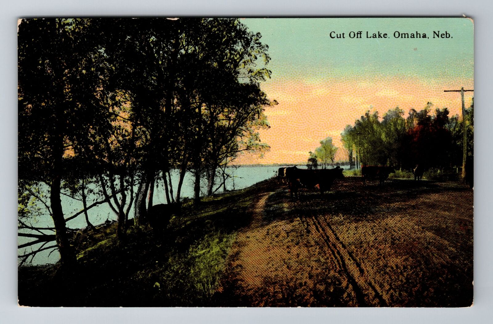 Omaha NE-Nebraska, Cut Off Lake, Antique Vintage Souvenir Postcard
