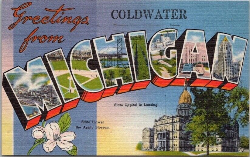 COLDWATER, MICHIGAN Large Letter Postcard State Capitol & Flower - Tichnor Linen