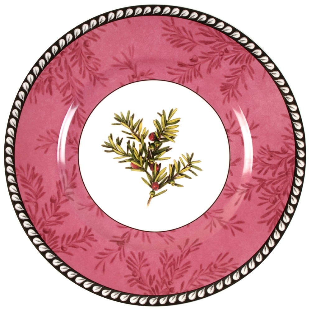 Lenox Etchings English Yew Accent Luncheon Plate 4191620