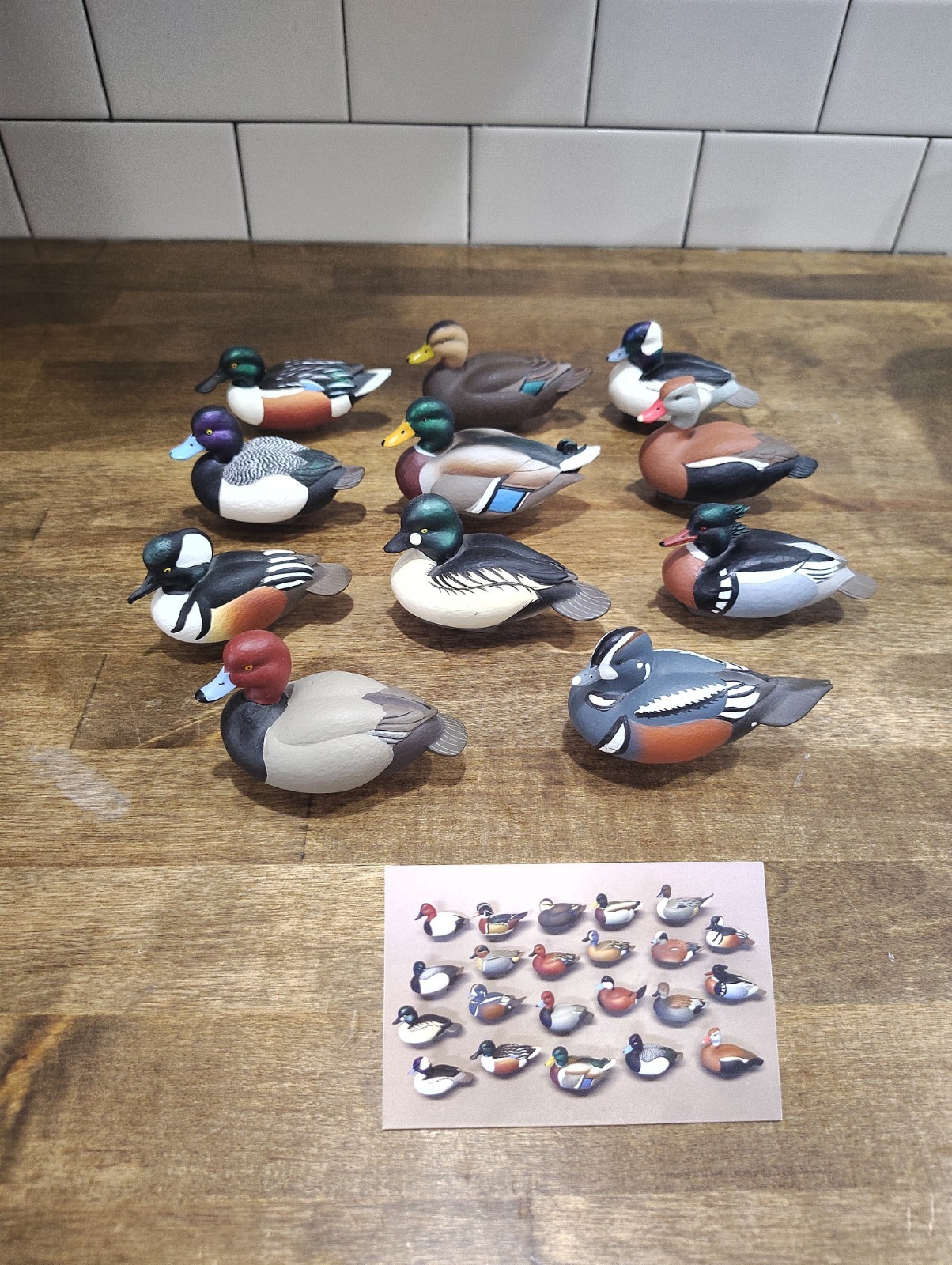 11 Jett Brunet DU Mini Duck Decoys Ducks Unlimited Redhead Teal Goldeneye 11 Jett Brunet DU Mini Duck Decoys Ducks Unlimited Redhead Teal Goldeneye