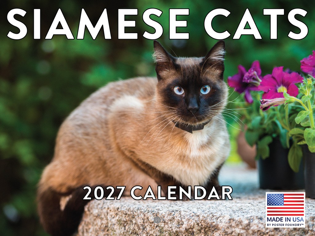 Siamese Cat Calendar 2027 Wall