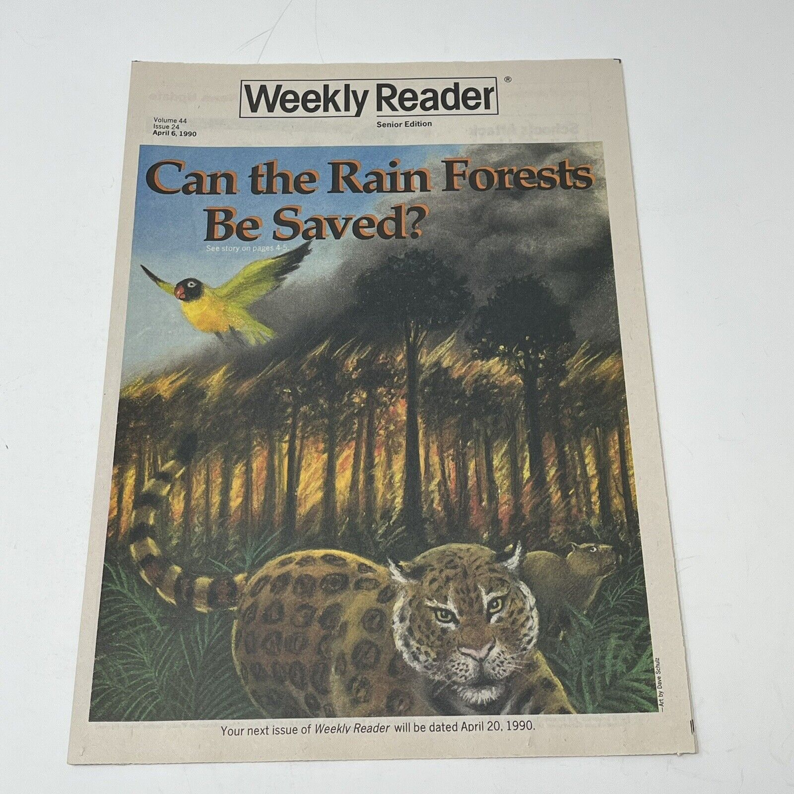 1990 Weekly Reader Magazine Can The Rain Forests Be Saved School Bullies DDT Ban