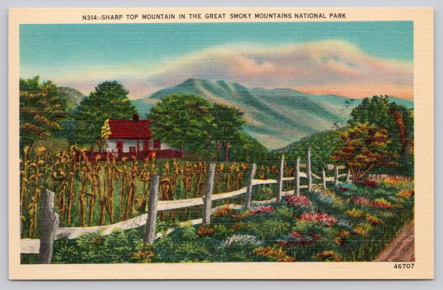 Sharp Top Mountain Great Smoky Mountains National Park Linen Postcard