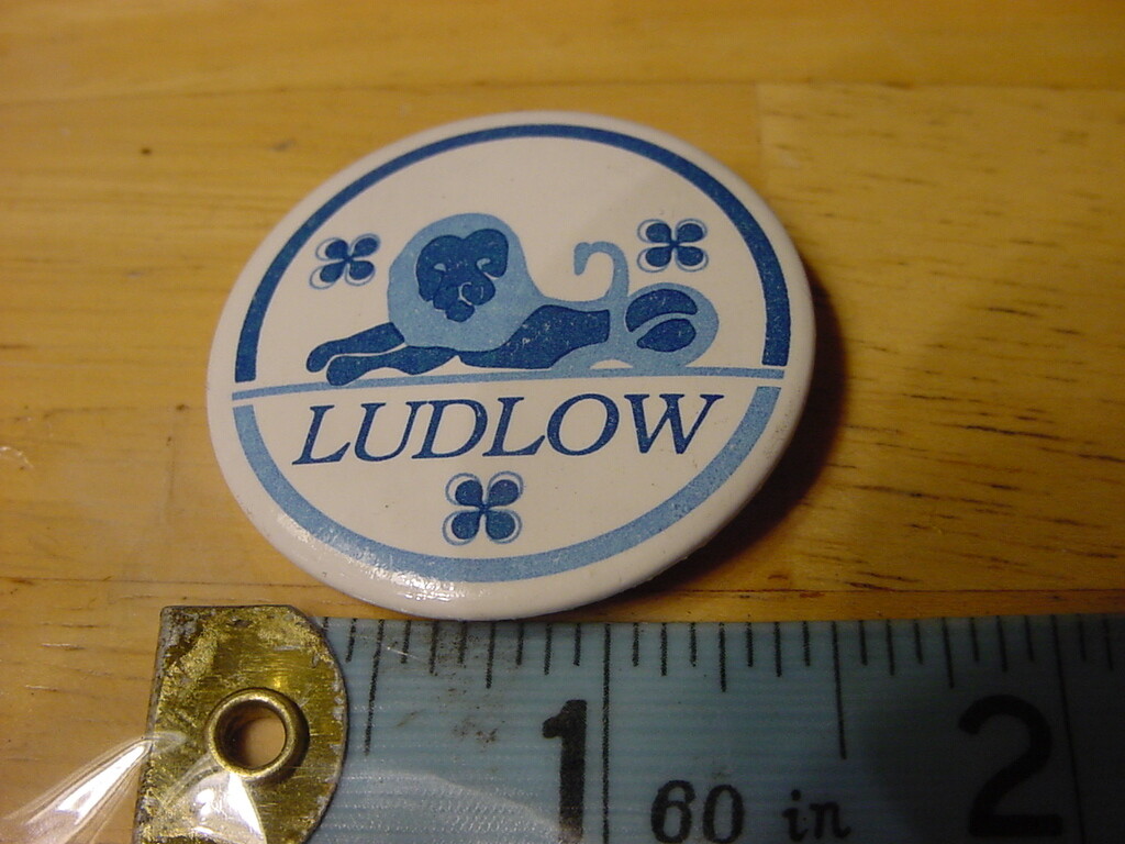 VTG BUTTON PIN - LUDLOW