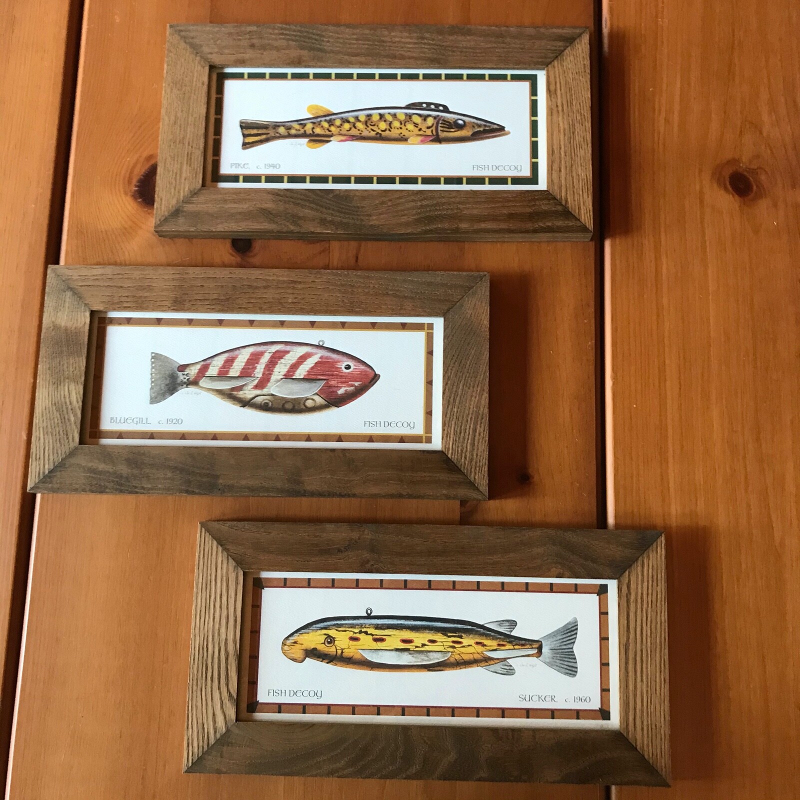 Fish Decoy Wood Framed Pictures w/ Glass Lot/3 Pike Bluegil Sucker 14 3/8\