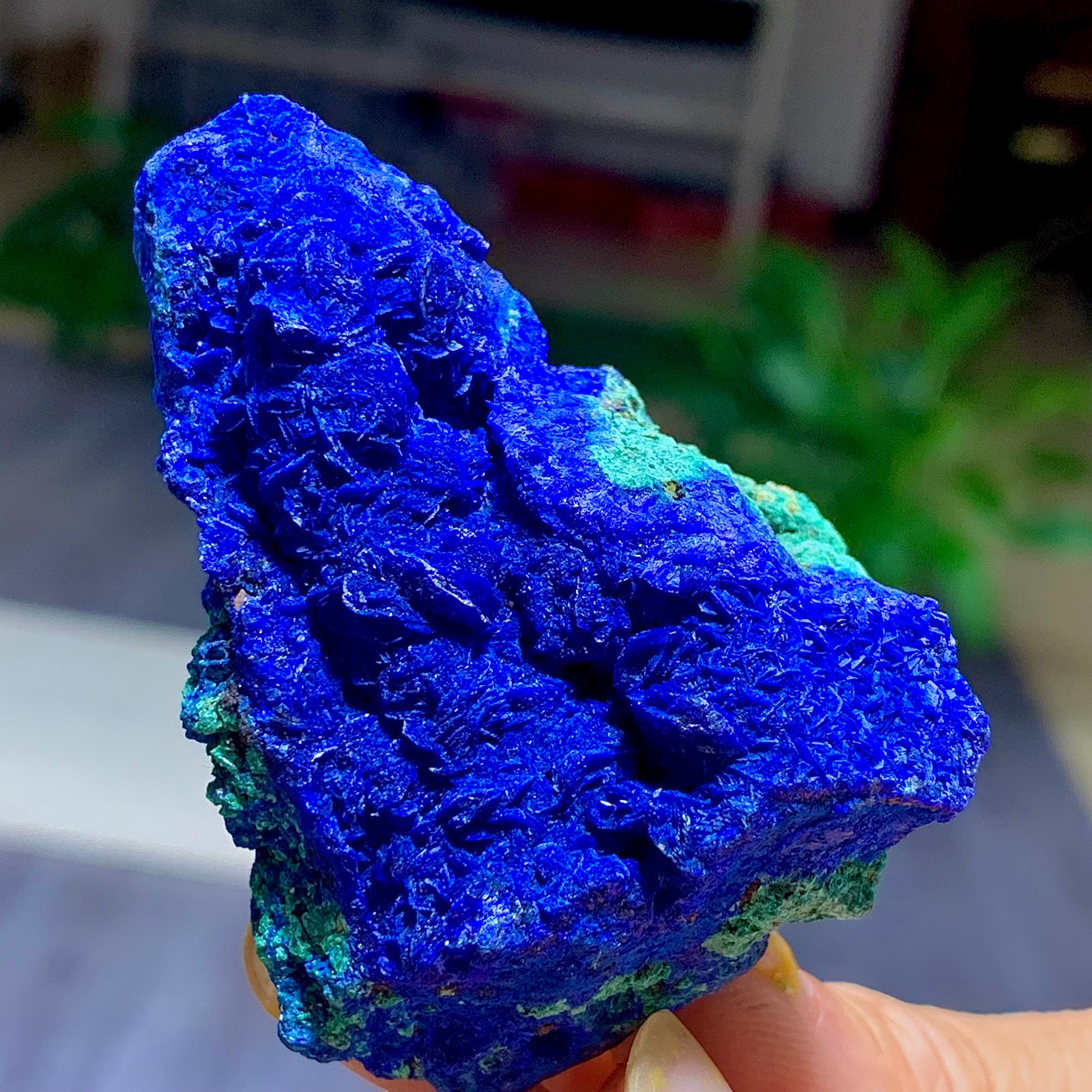 108G BEST Natural Azurite/Malachite crystal minerals specimens