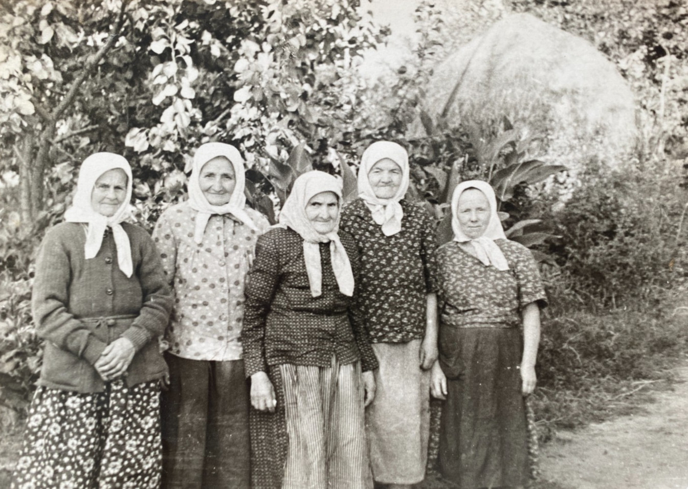 Beautiful girls pretty attractive cute sweet older women Vintage Photo