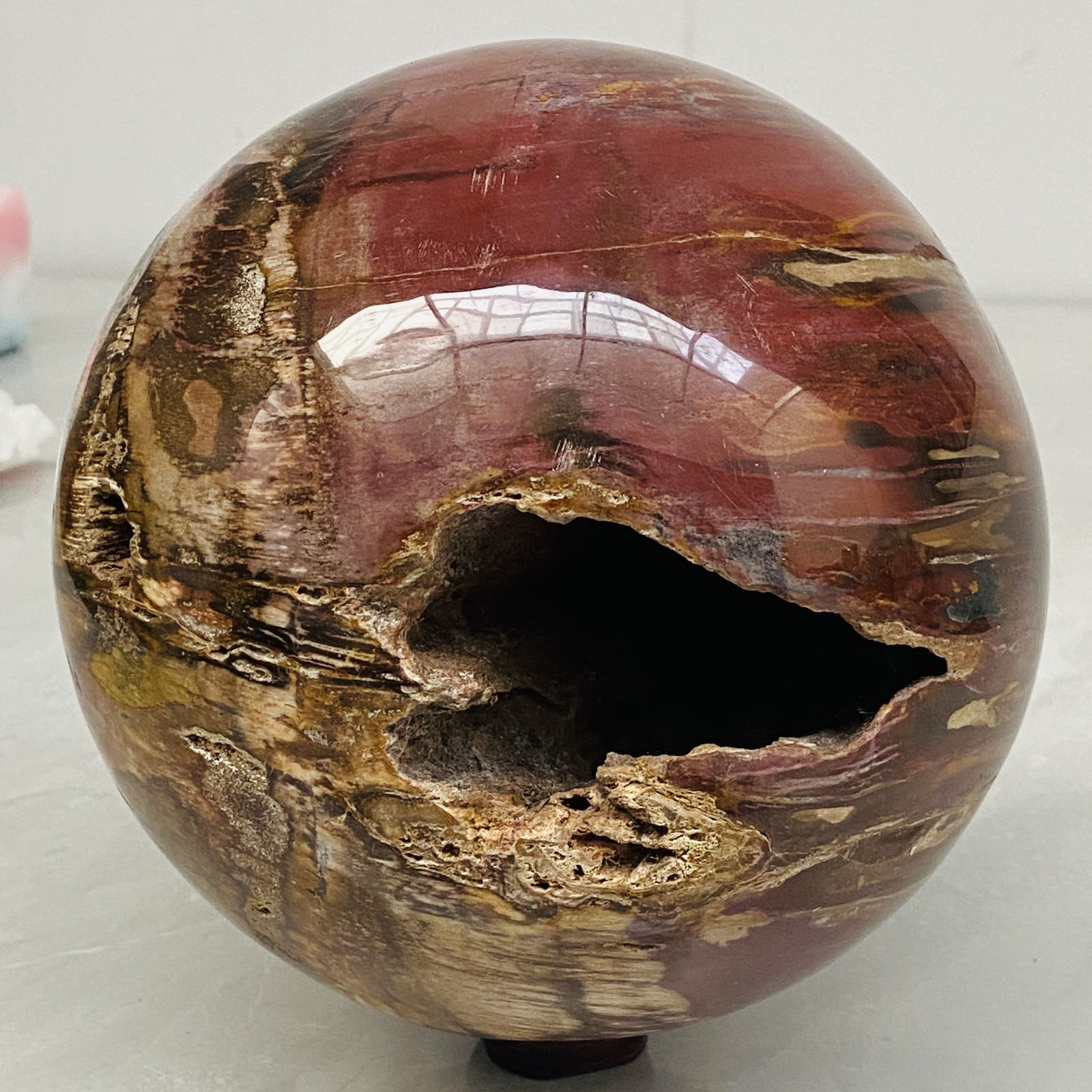 Natural Petrified Wood Polished Stone Quartz Crystal Sphere Ball Healing 5640G