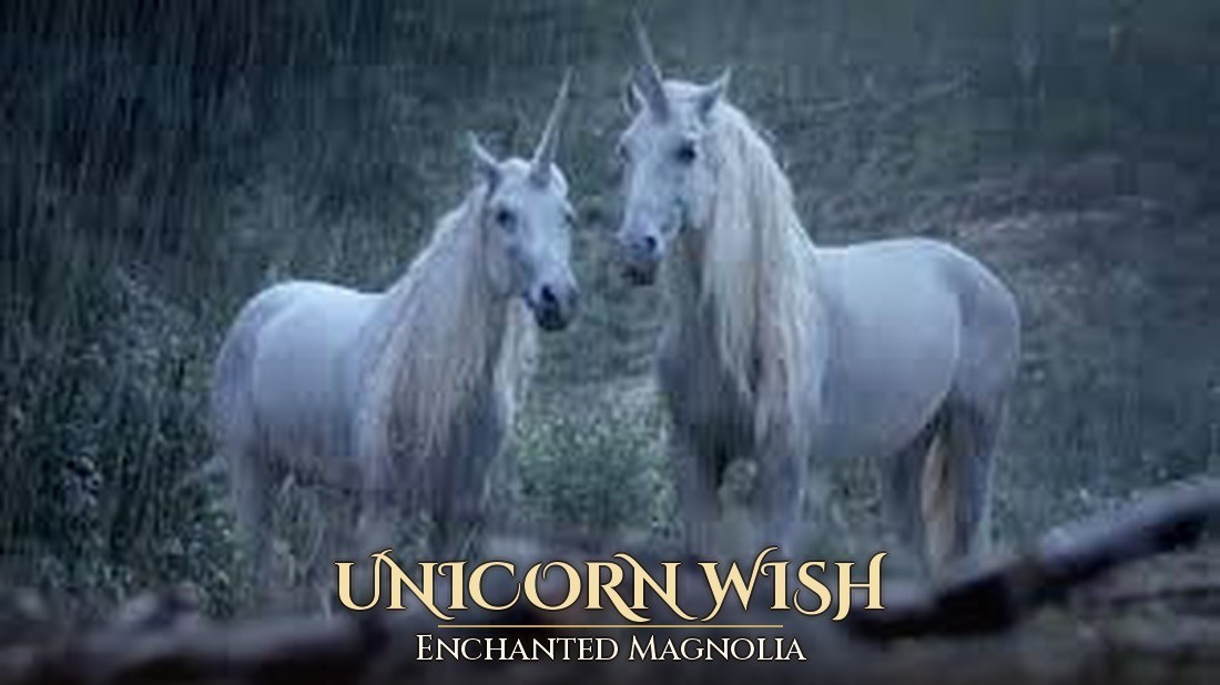 🦄 A Wish With a Quiet, Bright Guard ~ Unicorn Abilities Working