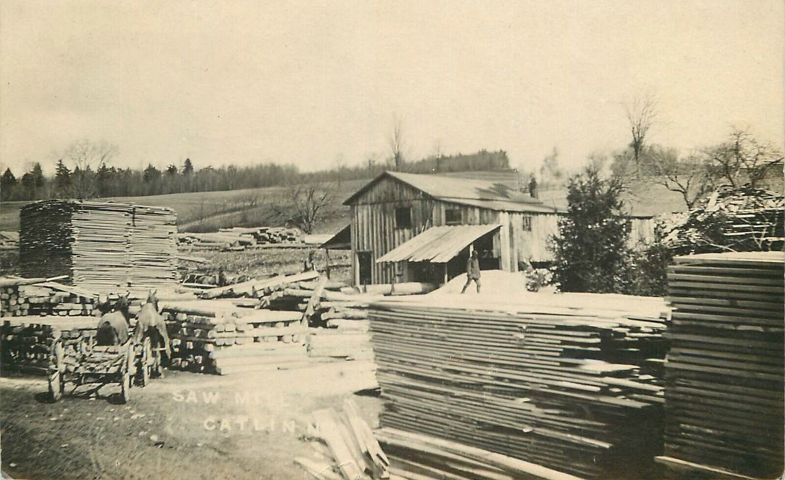 Postcard RPPC New York Catlin Sawmill logging lumber 1910 23-3691