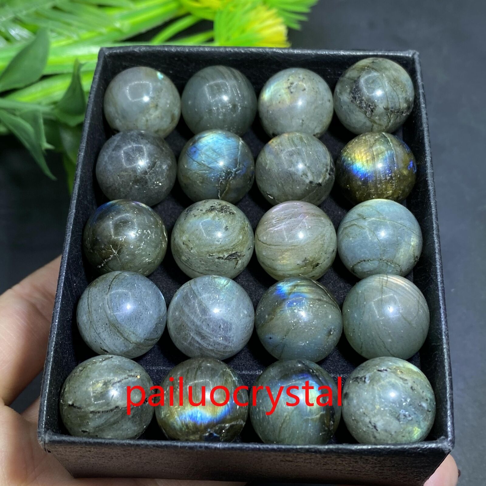 20pc Wholesale Natural Labradorite Ball Quartz Crystal Sphere Healing 15mm+ Box